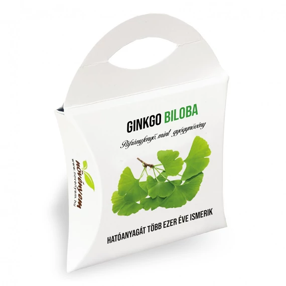 Ginkgo Biloba magok díszdobozban, Ginkgo Biloba magok díszdobozban