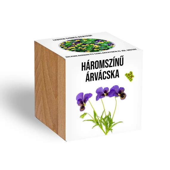 Háromszínű árvácska növényem fa kaspóban, Háromszínű árvácska növényem fa kaspóban