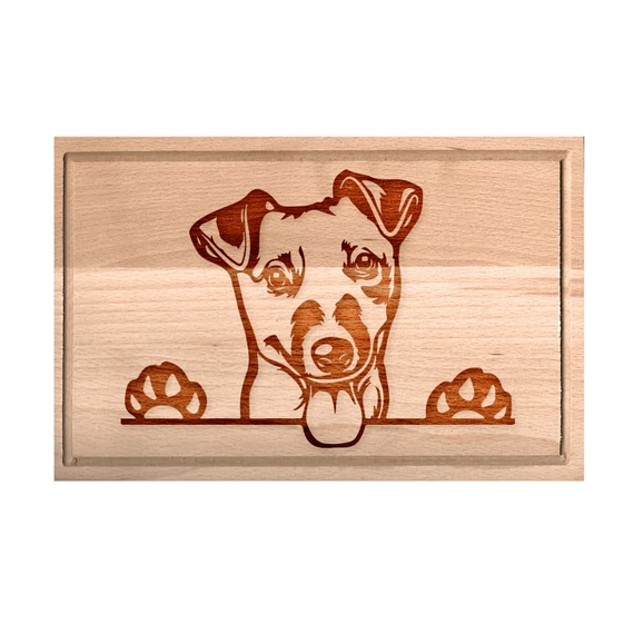 Jack Russell terrier - kicsi, Jack Russell terrier - kicsi