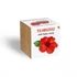 Kép 3/3 - Tea Hibiszkusz növényem fa kockában, Tea Hibiszkusz növényem fa kockában