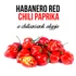 Kép 2/3 - Piros Habanero chili paprika növény nevelő szett, Piros Habanero chili paprika növény nevelő szett