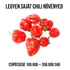 Kép 3/3 - Piros Habanero chili paprika növény nevelő szett, Piros Habanero chili paprika növény nevelő szett