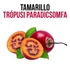 Kép 2/3 - Tamarillo - Trópusi paradicsomfa növény nevelő szett, Tamarillo - Trópusi paradicsomfa növény nevelő szett