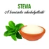 Kép 2/3 - Stevia növény nevelő szett, Stevia növény nevelő szett