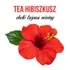 Kép 2/3 - Tea hibiszkusz növény nevelő szett, Tea hibiszkusz növény nevelő szett
