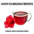 Kép 3/3 - Tea hibiszkusz növény nevelő szett, Tea hibiszkusz növény nevelő szett