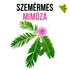 Kép 2/3 - Szemérmes Mimóza növény nevelő szett, Szemérmes Mimóza növény nevelő szett