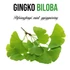 Kép 2/3 - Ginkgo Biloba növény nevelő szett, Ginkgo Biloba növény nevelő szett