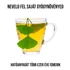 Kép 3/3 - Ginkgo Biloba növény nevelő szett, Ginkgo Biloba növény nevelő szett