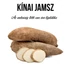 Kép 2/3 - Kínai jamsz növény nevelő szett, Kínai jamsz növény nevelő szett