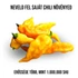 Kép 3/3 - Naga Jolokia yellow chili paprika növény nevelő szett, Naga Jolokia yellow chili paprika növény nevelő szett