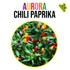 Kép 2/3 - Aurora chili paprika növény nevelő szett, Aurora chili paprika növény nevelő szett
