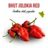 Kép 2/3 - Szellem chili - Bhut Jolokia Red paprika növény nevelő szett, Szellem chili - Bhut Jolokia Red paprika növény nevelő szett