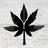 Kép 1/4 - Cannabis bakelit falióra, Cannabis bakelit falióra