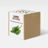 Kép 1/3 - Jalapeno chili paprika növény nevelő szett, Jalapeno chili paprika növény nevelő szett