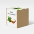 Kép 1/3 - Stevia növény nevelő szett, Stevia növény nevelő szett