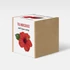 Kép 1/3 - Tea hibiszkusz növény nevelő szett, Tea hibiszkusz növény nevelő szett