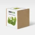 Kép 1/3 - Ginkgo Biloba növény nevelő szett, Ginkgo Biloba növény nevelő szett
