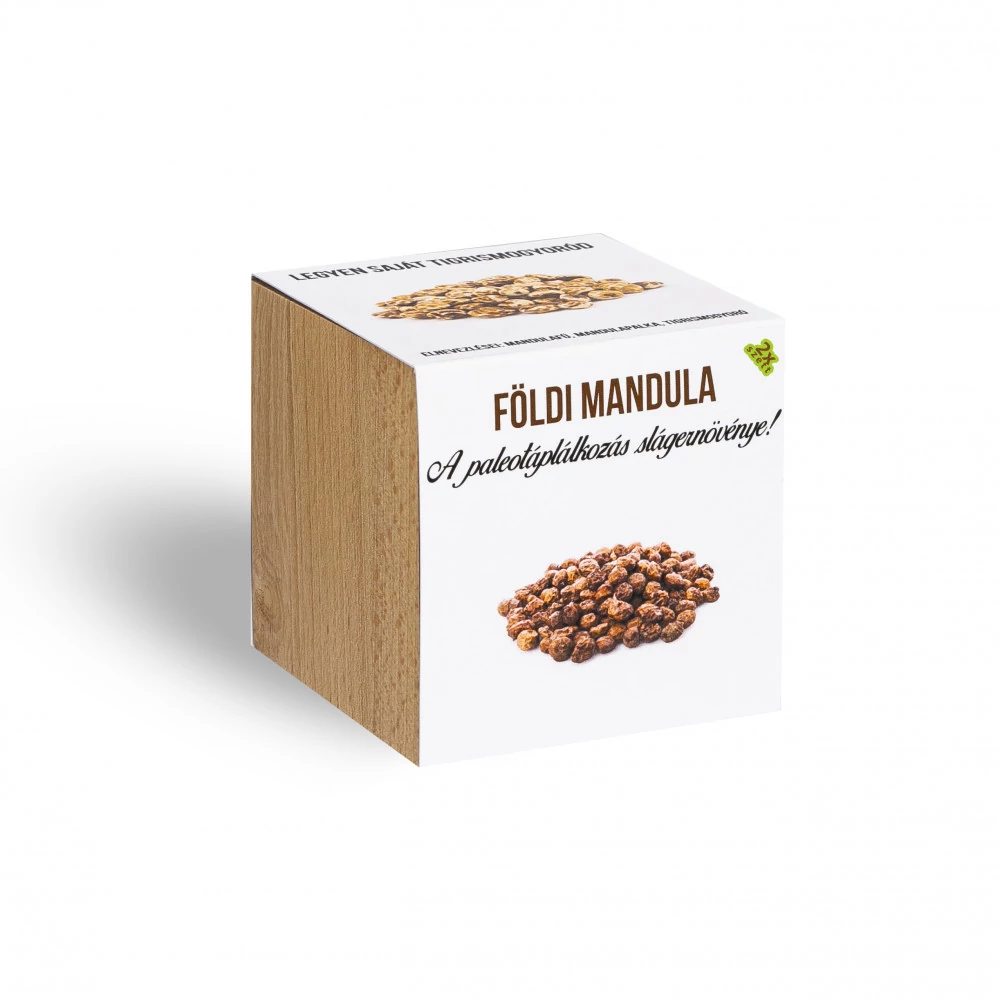 Földimandula - Tigrismogyoró - növényem fa kockában, Földimandula - Tigrismogyoró - növényem fa kockában
